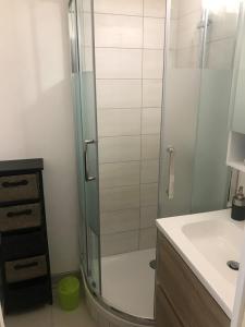 une salle de bain avec douche et lavabo dans l'établissement Studio Hyper centre - Ski, à Villard-de-Lans