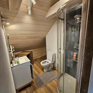 a small bathroom with a toilet and a sink at Leniuszkowo Święty Spokój in Zaleszany +55 photos