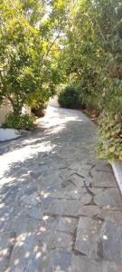 a stone walkway with trees on the side of it at Anna Studio and Apartments in Tsilivi