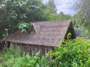 Φωτογραφία από το άλμπουμ του The Old Packing Shed σε Benson