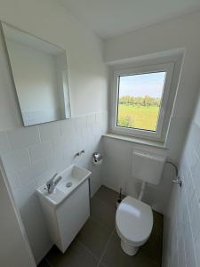 a bathroom with a toilet and a sink and a window at W&P Living Wohnung mit Balkon Parkplatz in Biberbach