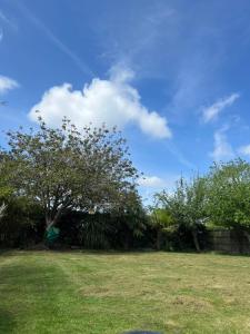 een boom in een veld met een blauwe lucht bij Zen suite in Oadby