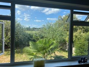 een raam met uitzicht op een palmboom bij Zen suite in Oadby
