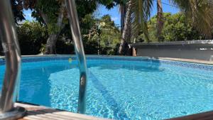 a swimming pool with blue water and palm trees at Fleurs de mangue in Saint-Louis