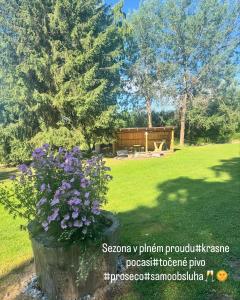 Fotografie z fotogalerie ubytování Retro chatky Hůrka Lipno v destinaci Horní Planá