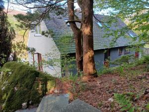 a house with a tree in front of it at Duddon Valley Retreat, Lake District National Park, Sleeps 7 in Broughton in Furness