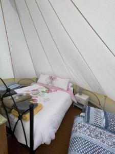 Gallery image of Cox Hill Glamping Badger in Truro
