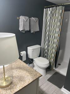 a bathroom with a toilet and a shower curtain at Ripple Avenue Suites Suite B in Indianapolis +9 photos