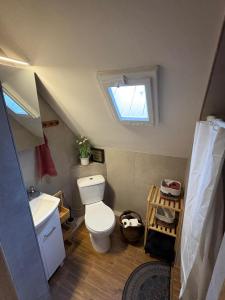 a small bathroom with a toilet and a window at Mazurski strych in Węgorzewo