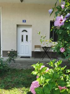 Zahrada ubytování Novi Apartman 19