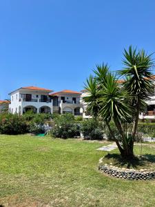a palm tree in front of a large building at Halkidiki Beach House AELIA in Skála Foúrkas