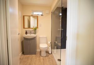 a bathroom with a toilet and a sink and a shower at Luxury Chestnut Lodge with Hot Tub and Games Room in Toppesfield +47 photos