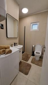 a bathroom with a toilet and a sink and a mirror at Holiday home Blue 40 m from beach in Kruševo