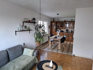 a living room with a couch and a table at FeWo Fortysix in Mendig