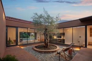 ロヴィニにあるCasa Mariaの中庭中庭木のある家