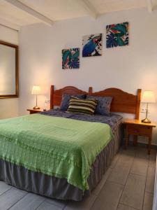 a bedroom with a bed with a green bedspread at Welcome in Garachico