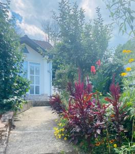 Gallery image of Apartman Maslina in Kosjerić