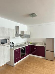 Η κουζίνα ή μικρή κουζίνα στο Apartmány Tereza
