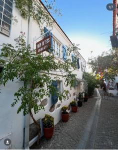 Imagen de la galería de Eden in Teos Pansiyon, en Seferihisar