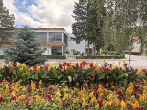 a garden of flowers in front of a building at Villa Green in Sliač