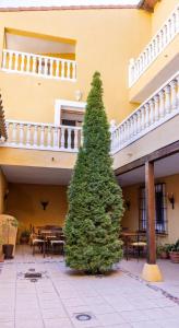 einem großen grünen Baum vor einem Gebäude in der Unterkunft Hotel Boutique Cumbres de Castilla in Mandayona