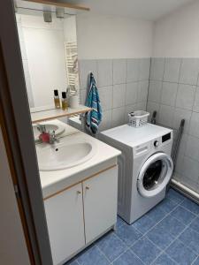 a bathroom with a washing machine and a sink at Appartement chaleureux in Remiremont