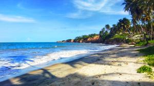 a beach with palm trees and the ocean at Cabanas Caraúbas - frente para o mar, ar & Tv in Maxaranguape