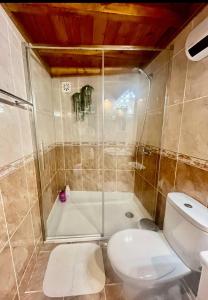 a bathroom with a toilet and a shower and a tub at Stairway to Castle- Monsanto in Monsanto +17 photos