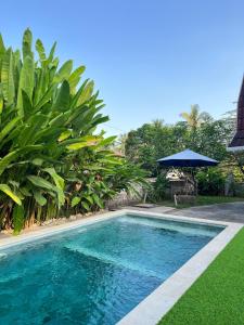 Bazén v ubytování Da Villa Mandalika nebo v jeho okolí