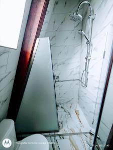 a bathroom with a shower and a toilet at Casuta din LAZ in Onceşti +14 photos
