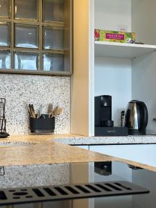a kitchen with a counter top with a coffee maker at NUC living - Apartment 01 in Suceava