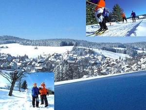 Appartmentvermietung Terrassenpark Schonach ziemā