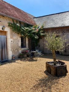 a tree in a pot in front of a building at Sunflower Cottage in Genneteil