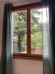 una ventana con vista a un árbol en The Green Nest - pool & lake view, en Costermano