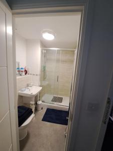 a bathroom with a shower and a toilet and a sink at Ebbsfleet International Homestay in Swanscombe +8 photos