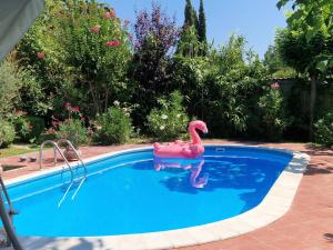 a pink flamingo float in a swimming pool at Sunny villa Boutique Varna in Varna City +40 photos