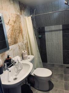 a bathroom with a toilet and a sink and a shower at Cottage by the sea in Kobuleti +7 photos