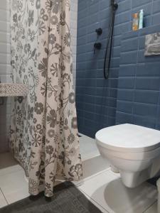 a bathroom with a toilet and a shower curtain at На Ковальській з видом на фортецю in Kamianets-Podilskyi