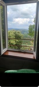 アルティミーノにあるBilocale Artimino campagna toscanaの森の景色を望む部屋の窓