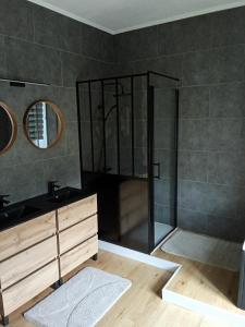 a bathroom with a shower and a sink at Les lapins bleus in Saint-Sulpice-le-Dunois +14 photos