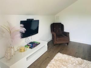 a living room with a tv and a chair at Apartman Maslina in Kosjeric