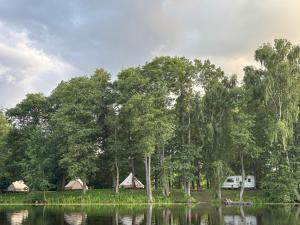 a van parked next to a lake with trees at Glamp Juodis in Ubiškės