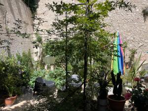 Photo de la galerie de l'établissement Chambre Veteranova, à Blois