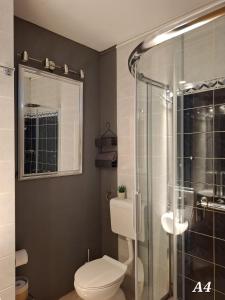 a bathroom with a toilet and a glass shower at Apartments Oribella in Krk