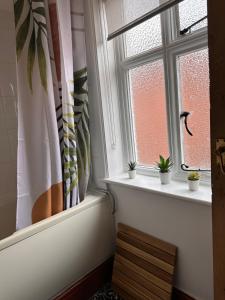 a window with potted plants on the ledge of it at Chester City Centre Apartments in Chester +38 photos