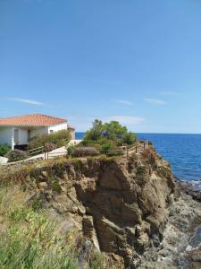 una casa en un acantilado junto al océano en Appartement La Casa Verde, en Llançà