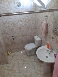 a bathroom with a toilet and a sink at Guest House Fazisi in Kutaisi +64 photos