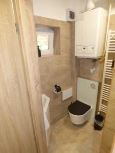 a small bathroom with a toilet and a sink at Pogácsás II Apartman Tokaj in Tokaj