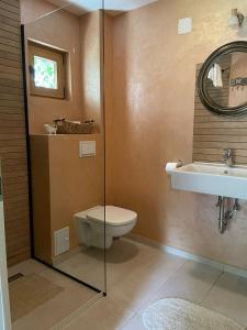 un baño con inodoro y lavabo en Cabana Mistic, en Bran