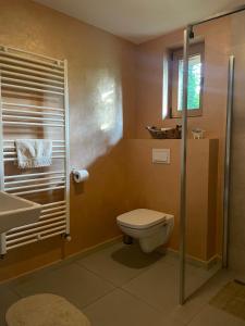 un baño con inodoro y lavabo en Cabana Mistic, en Bran 23 fotos más